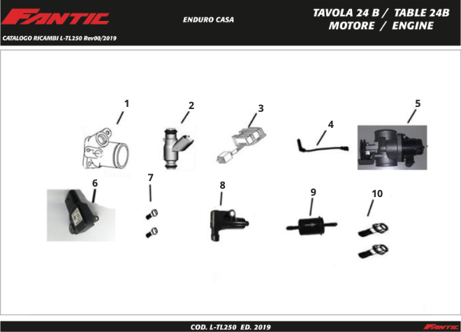GFSMojjnfV_24B - Moteur (TL250 - Enduro Casa - MY2019).png